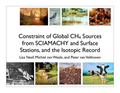 Earth / Environment / Ecology / SCIAMACHY / Spectrometers / Wetland