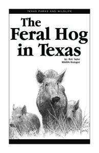 texas parks and wildlife  The Feral Hog in Texas