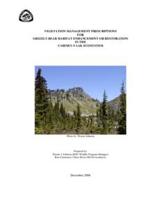 Microsoft Word - Vegetation Managment Prescriptions for Grizzly Bear Habitat Enhancement.doc