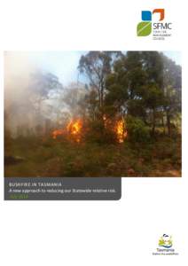 BUSHFIRE IN TASMANIA A new approach to reducing our Statewide relative risk. July 2014 BU SH FI RE I N TA SM ANI A – Ju ly[removed]