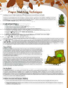 Proper Mulching Techniques Mulching is one of the most beneficial practices a homeowner can use for better tree health. Mulches are materials placed over the soil surface to maintain moisture and improve soil conditions.