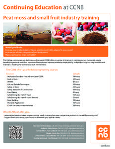Continuing Education at CCNB Peat moss and small fruit industry training Would you like to... Increase your productivity and have a workforce with skills adapted to your needs? Increase the efficiency of your staff and w