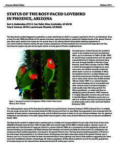 Arizona Birds Online	  Volume 2011 Status of the Rosy-faced Lovebird in Phoenix, Arizona