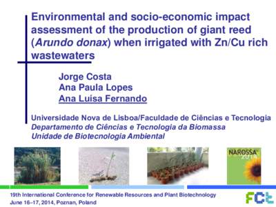 Environmental and socio-economic impact assessment of the production of giant reed (Arundo donax) when irrigated with Zn/Cu rich wastewaters Jorge Costa Ana Paula Lopes
