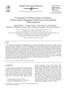 MOLECULAR PHYLOGENETICS AND