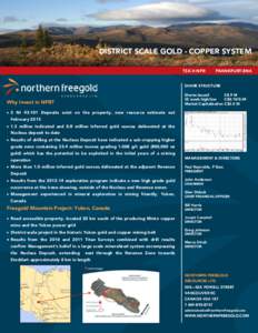 DISTRICT SCALE GOLD - COPPER SYSTEM TSX.V:NFR FRANKFURT:8N6  SHARE STRUCTURE