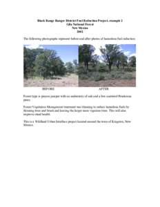 Black Range Ranger District Fuel Reduction Project, example 2 Gila National Forest New Mexico 2002 The following photographs represent before and after photos of hazardous fuel reduction.