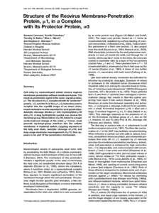 Cell, Vol. 108, 283–295, January 25, 2002, Copyright 2002 by Cell Press  Structure of the Reovirus Membrane-Penetration Protein, ␮1, in a Complex with Its Protector Protein, ␴3 Susanne Liemann,1 Kartik Chandran,