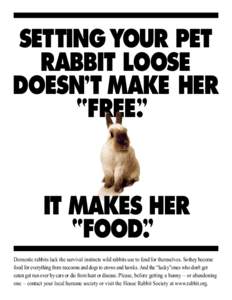 SETTING YOUR PET RABBIT LOOSE “ DOESN T MAKE HER FREE.