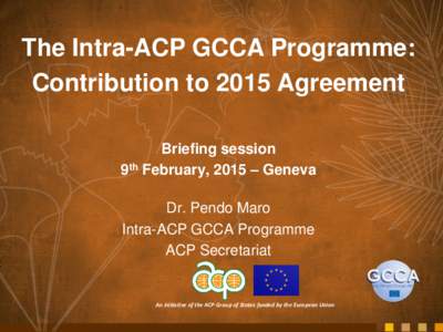 The Intra-ACP GCCA Programme: Contribution to 2015 Agreement Briefing session 9th February, 2015 – Geneva  Dr. Pendo Maro