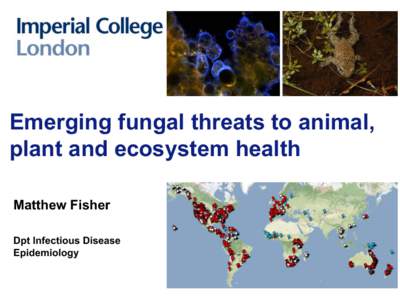 Emerging fungal threats to animal, plant and ecosystem health Matthew Fisher Dpt Infectious Disease Epidemiology