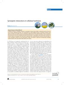 Review  Synergistic interactions in cellulose hydrolysis Biofuels[removed]), 61–70  Maxim Kostylev & David Wilson*