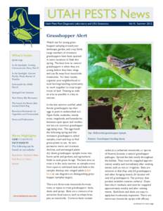 UTAH PESTS News Utah Plant Pest Diagnostic Laboratory and USU Extension Vol.VI, SummerGrasshopper Alert