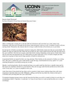 Insects from Firewood By Dawn Pettinelli, UConn Home & Garden Education Center There is nothing like a roaring fire to take the chill out of the house and your bones on a cold, winter’s day. Sometimes when firewood is 