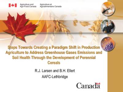 Steps Towards Creating a Paradigm Shift in Production Agriculture to Address Greenhouse Gases Emissions and Soil Health Through the Development of Perennial Cereals R.J. Larsen and B.H. Ellert AAFC-Lethbridge