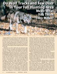 Do Wolf Tracks and Few Deer In Your Fall Hunting Area Mean What You Think They Mean?