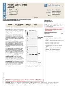 Store at –20°C  Phospho-CDK9 (Thr186) Antibody  #2549