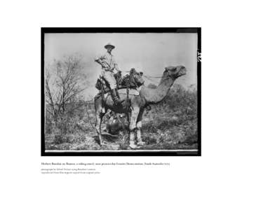 Herbert Basedow on Buxton, a riding camel, near present-day Granite Downs station, South Australia 1903 photograph by Alfred Treloar using Basedow’s camera reproduced from film negative copied from original print Intr
