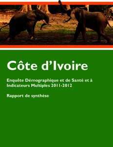 côte divoire coat of arms