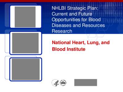 NHLBI Strategic Plan: Current and Future Opportunities for Blood Diseases and Resources Research National Heart, Lung, and