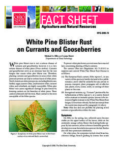 FACT SHEET Agriculture and Natural Resources HYG[removed]White Pine Blister Rust