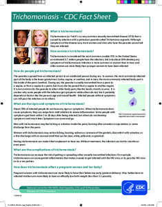 Sexually transmitted diseases and infections / HIV/AIDS / Infections with a predominantly sexual mode of transmission / Trichomoniasis / Trichomonas vaginalis / Sexually transmitted disease / AIDS / Irritation / Vagina / Medicine / Health / Biology