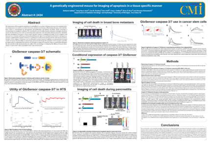 A Genetically Engineered Mouse for Imaging of Apoptosis in a Tissue Specific Manner Scientific Poster, PS145
