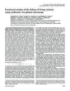 Am J Physiol Cell Physiol 283: C905–C916, 2002. First published May 15, 2002; [removed]ajpcell[removed].