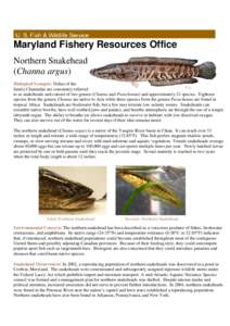 Snakehead Fact Sheet 2012