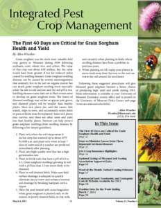 Integrated Pest & Crop Management The First 40 Days are Critical for Grain Sorghum Health and Yield By Allen Wrather
