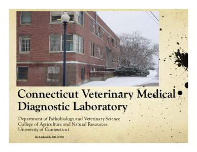 Connecticut Veterinary Medical Diagnostic Laboratory   Department of Pathobiology and Veterinary Science College of Agriculture and Natural Resources University of Connecticut