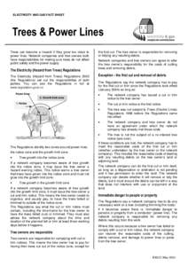 ELECTRICITY AND GAS FACT SHEET  Trees & Power Lines Trees can become a hazard if they grow too close to power lines. Network companies and tree owners both have responsibilities for making sure trees do not affect