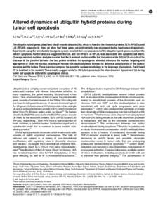 Apoptosis / Molecular biology / Proteins / Protein methods / Green fluorescent protein / Poly ADP ribose polymerase / Gene expression / Proteasome / Histone / Biology / Cell biology / Programmed cell death