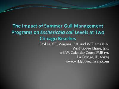Stokes, Y.F., Wagner, C.A. and Williams V. A. Wild Goose Chase, Inc. 106 W. Calendar Court PMB 171, La Grange, IL, 60525 www.wildgoosechasers.com