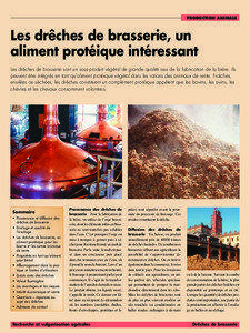 PRODUCTION ANIMALE  Les drêches de brasserie, un