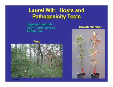 Laurel Wilt: Hosts and Pathogenicity Tests Stephen Fraedrich USDA Forest Service Athens, GA