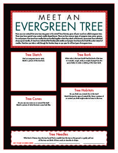 MEET AN  EVERGREEN TREE Have you ever noticed that some trees stay green in the winter? Trees that stay green all year round are called evergreen trees. These trees have special waxy-coated, needle-shaped leaves. There a