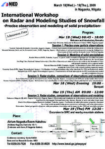 Graupel / Snow / Nagaoka /  Niigata / Nied / Meteorology / Atmospheric sciences / Precipitation