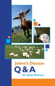 Johne’s Disease  Q&A for Goat Owners