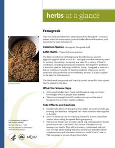Fenugreek This fact sheet provides basic information about fenugreek—common names, what the science says, potential side effects and cautions, and resources for more information.  Common Names—fenugreek, fenugreek se