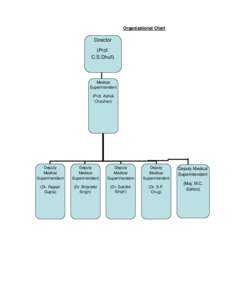 Organizational Chart  Director (Prof. C.S.Dhull)