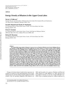 Energy Density of Bloaters in the Upper Great Lakes