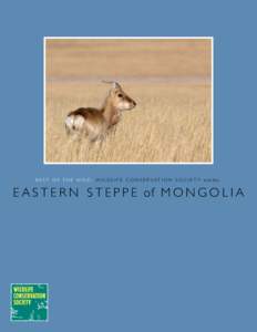 Ecoregions / Grasslands / Geography / Palearctic / Montane grasslands and shrublands / Steppe / Rangeland / Gazelle / Mongolian-Manchurian grassland / Physical geography / Biogeography / Temperate grasslands /  savannas /  and shrublands