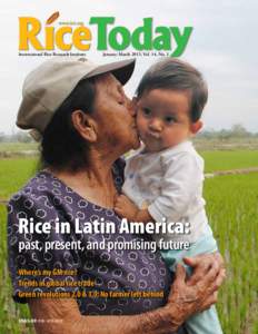 Food and drink / International Rice Research Institute / Global Rice Science Partnership / Upland rice / Hybrid rice / Paddy field / Green Revolution / CGIAR / Rice production in Vietnam / Rice / Agriculture / Rockefeller Foundation