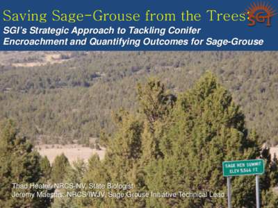 Saving Sage-Grouse from the Trees: SGI’s Strategic Approach to Tackling Conifer Encroachment and Quantifying Outcomes for Sage-Grouse Thad Heater, NRCS-NV, State Biologist Jeremy Maestas, NRCS/IWJV, Sage Grouse Initiat