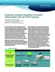 Technical Brief  Analyzing microgram quantities of isolated mitochondria in the XFe/XF24 Analyzer George Rogers, PhD, Seahorse Bioscience Anne Murphy, PhD, University of California, San Diego