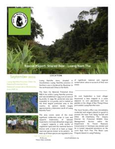 Rescue Report: Snared Bear - Luang Nam Tha  September 2011 Luang Namtha Province / Nam Ha National Protected Area National Conservation Biodiversity