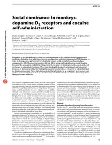 articles  © 2002 Nature Publishing Group http://neurosci.nature.com Social dominance in monkeys: dopamine D2 receptors and cocaine