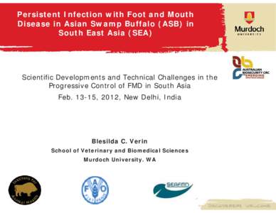 Persistent Infection with Foot and Mouth Disease in Asian Swamp Buffalo (ASB) in South East Asia (SEA) Scientific Developments and Technical Challenges in the Progressive Control of FMD in South Asia