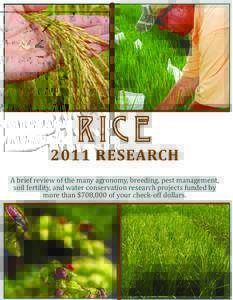 RICERESEARCH A brief review of the many agronomy, breeding, pest management, soil fertility, and water conservation research projects funded by more than $708,000 of your check-off dollars.
